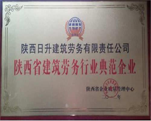 陕西省建筑劳务行业典范企业