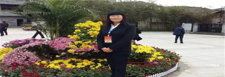 张兰英（陕西）：记一位具有生命高度的人