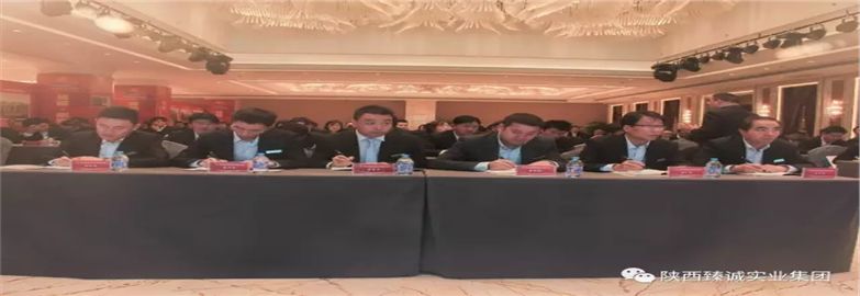 陕西臻诚实业集团职业化团队内训大会在蓝溪国际酒店盛大召开