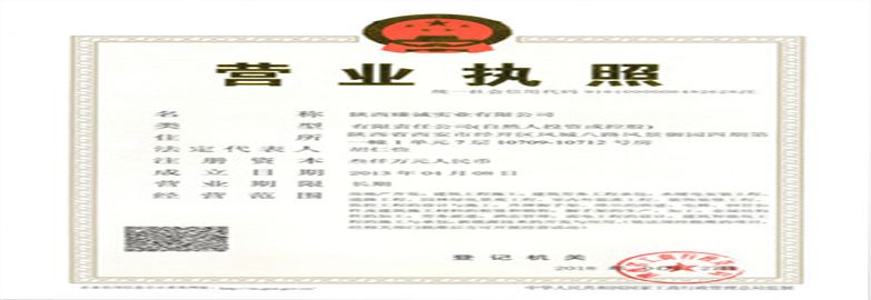 陕西臻诚实业集团有限公司营业执照