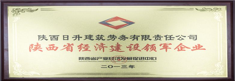 陕西省经济建设领军企业