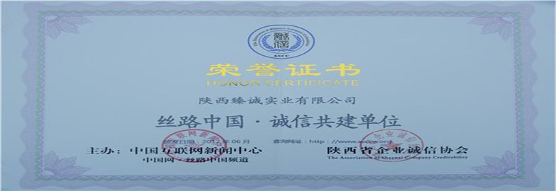 陕西臻诚实业集团有限公司荣誉证书