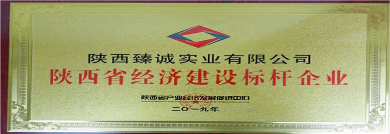 陕西臻诚实业集团有限公司五星级诚信单位