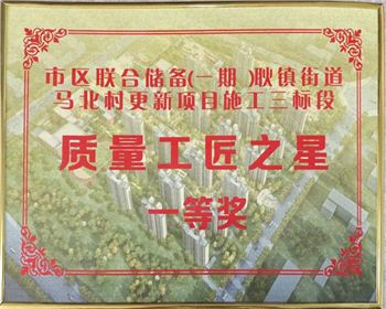 【臻诚快讯】集团子公司日升劳务参建的马北村更新项目荣获表彰
